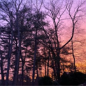 Meet your Posher, Gianna